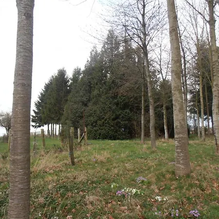 Maison De Charme Avec Grand Jardin, Proche Haras Du Pin, Animaux Acceptes, Ideale Pour Familles - Fr-1-497-5 Holiday home *