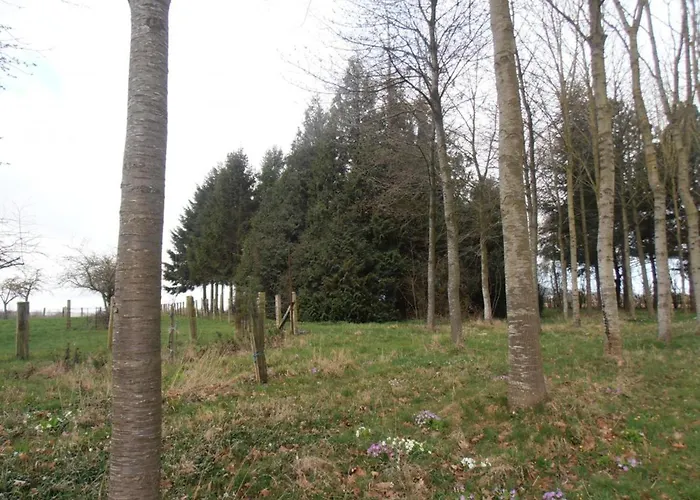 Charmante Maison Normande Avec Jardin, Animaux Admis, Proche Randonnee - Fr-1-497-5 Saint-Pierre-la-Riviere